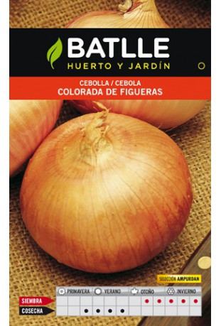 Semillas fito  cebolla colorada 