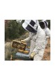 Curso presencial Cría de abejas reinas y aplicación en apicultura